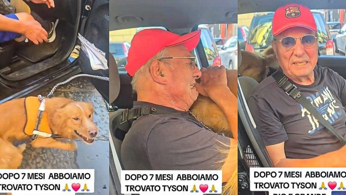 Il ritrovamento del cane