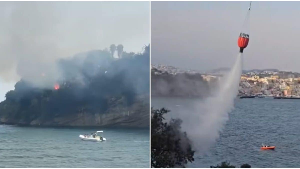 L’incendio a Punta Pizzaco, Procida (frame da Tg Procida)