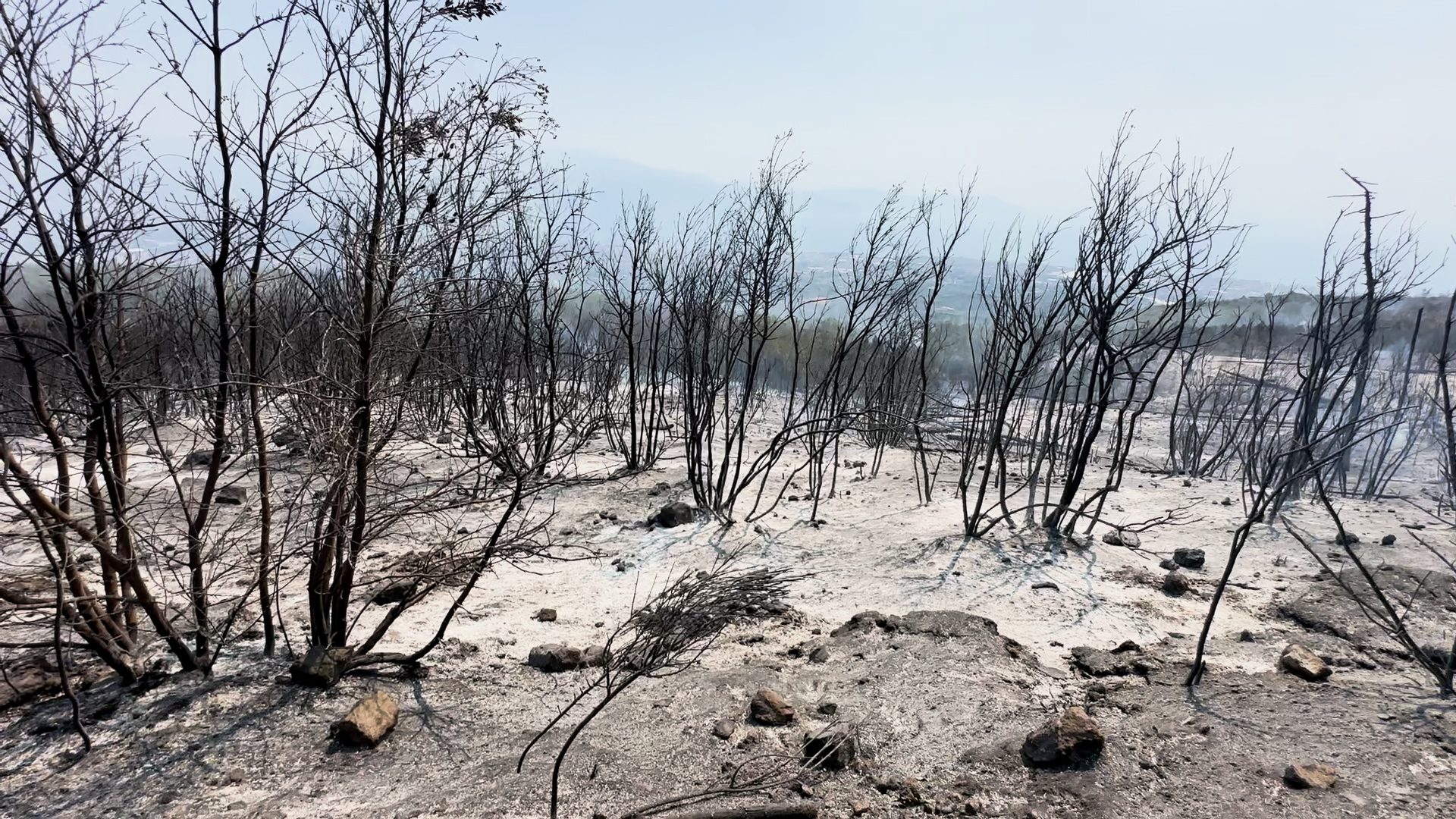 Vesuvio dopo l’incendio / Foto Gaia Martignetti per Fanpage.it