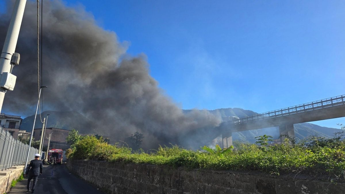 L’incendio a Castellammare di Stabia (foto Luigi Vicinanza/Facebook)