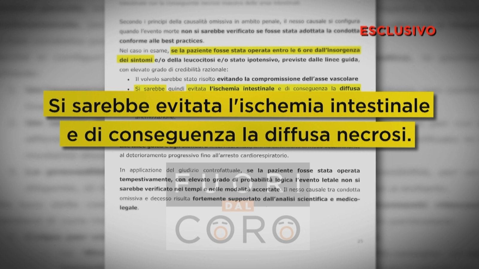 Il documento mostrato in tv