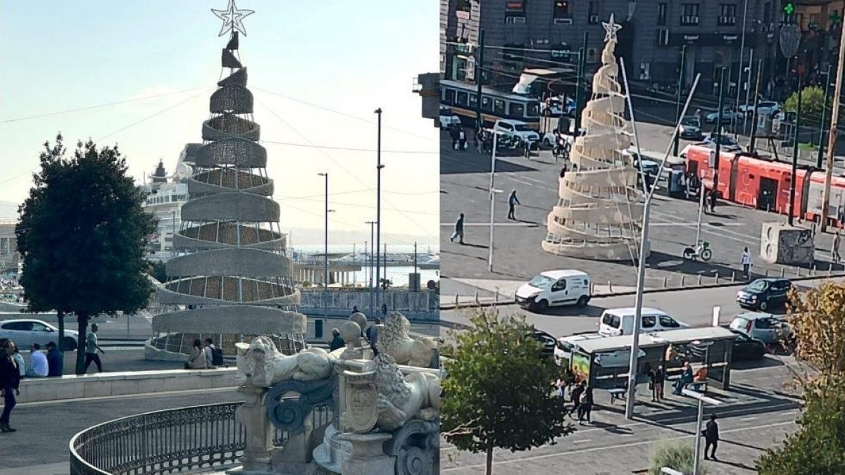 L’albero di Natale in piazza Municipio (a sinistra) e quello in piazza Garibaldi (a destra)