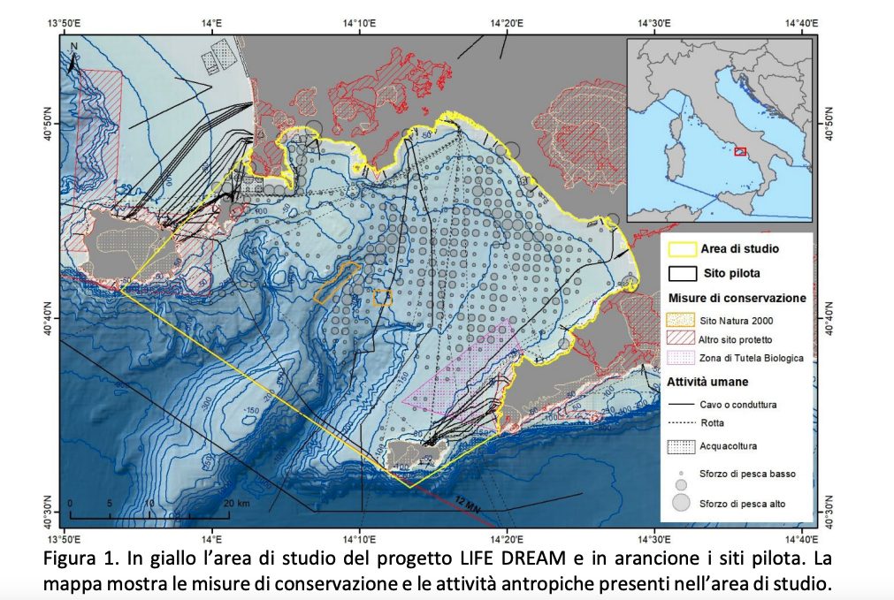 L’area del cosiddetto Canyon Dohrn