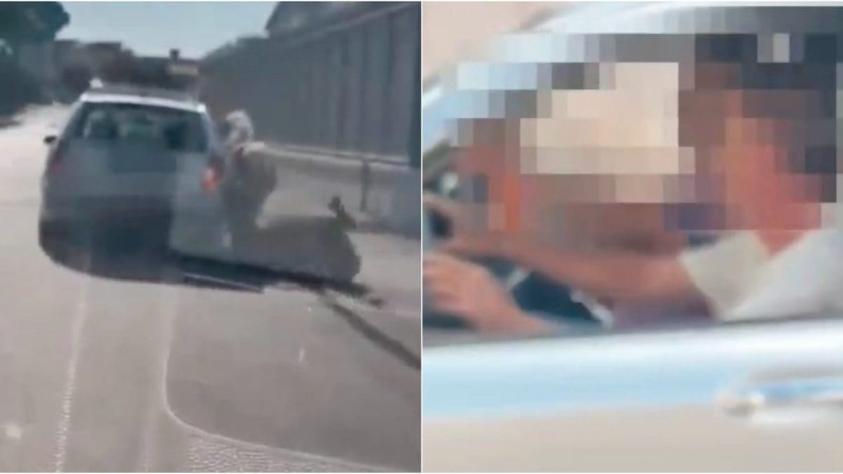 Frame dal video che mostra il cavallo trascinato dall’auto ad Arzano (Napoli)