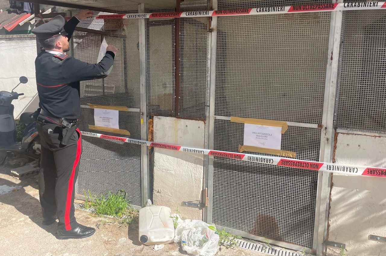 I box per cani abusivi sequestrati dai carabinieri