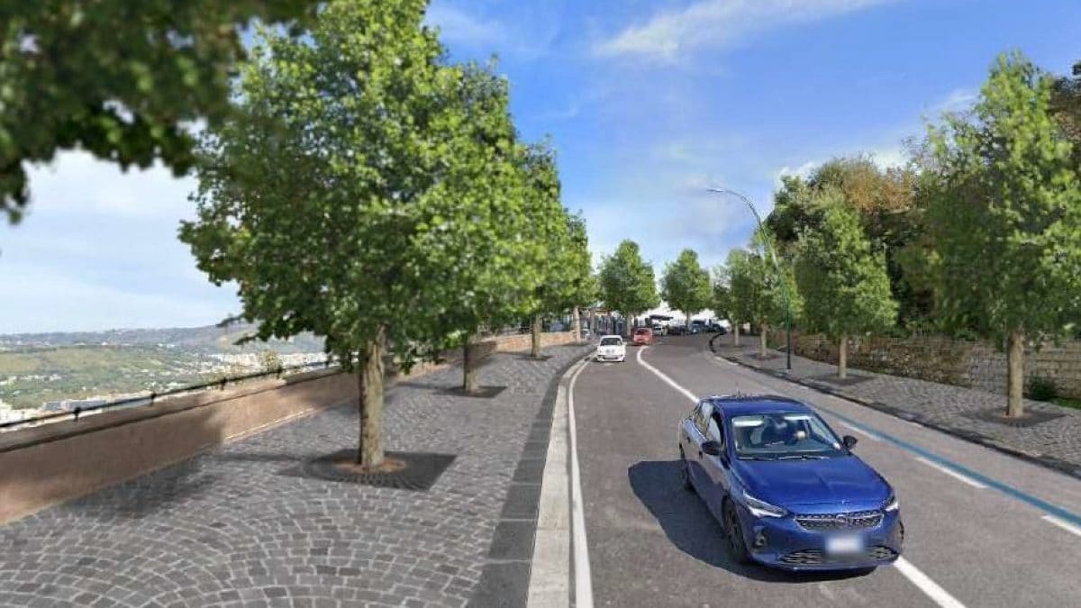 Il rendering di via Manzoni con i platani al posto dei pini