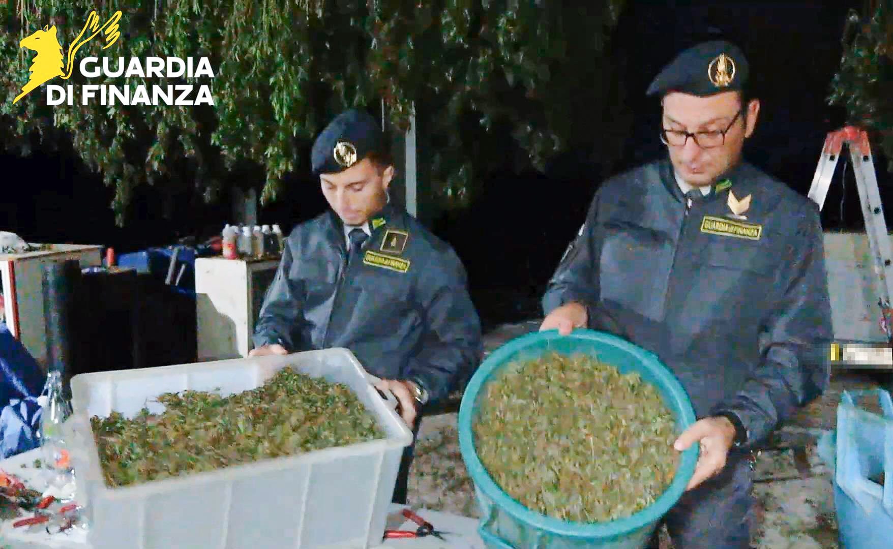La Finanza con le infiorescenze di cannabis sequestrate