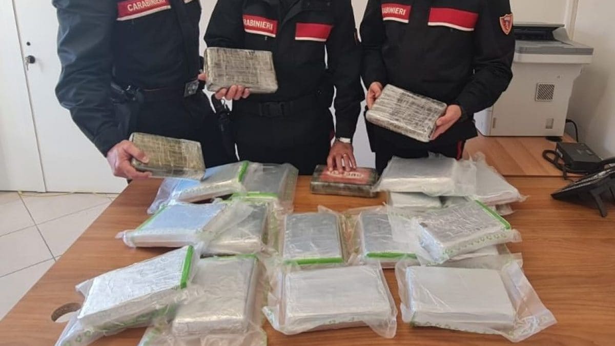 La cocaina sequestrata dai carabinieri a Tufino (Napoli)