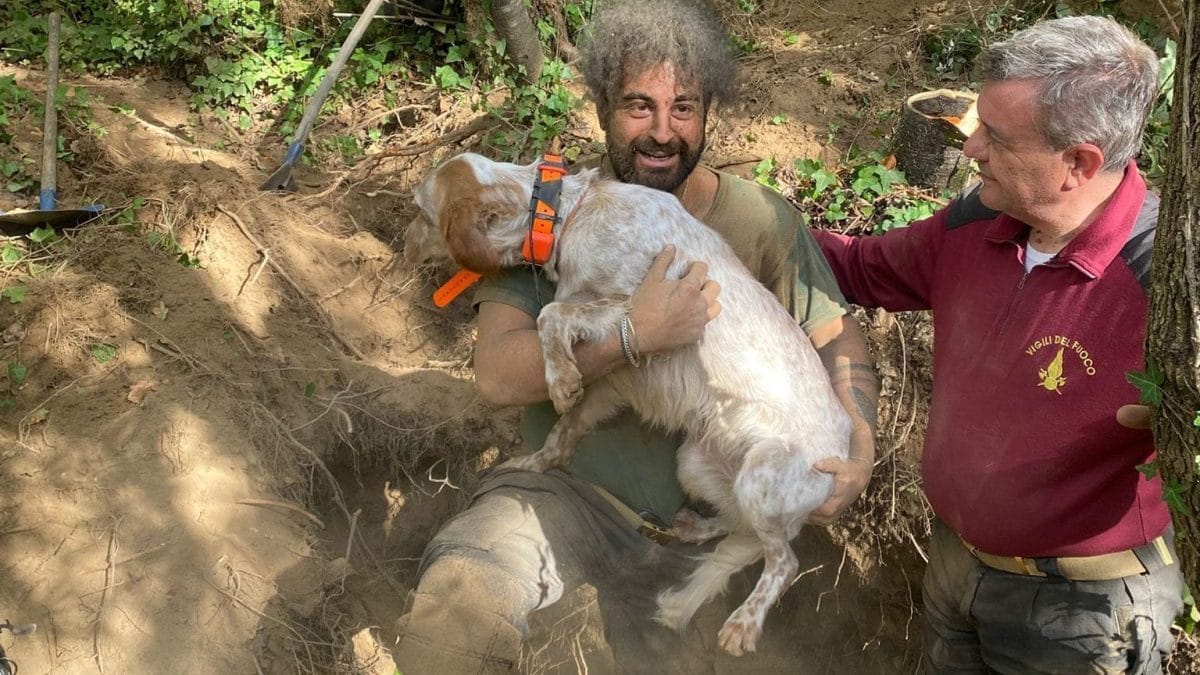 Il cane salvato dai vigili del fuoco a Torella dei Lombardi