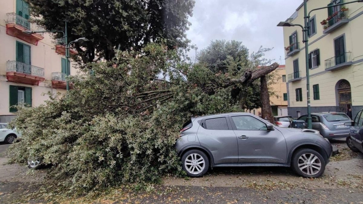 Viale Campi Flegrei a Bagnoli