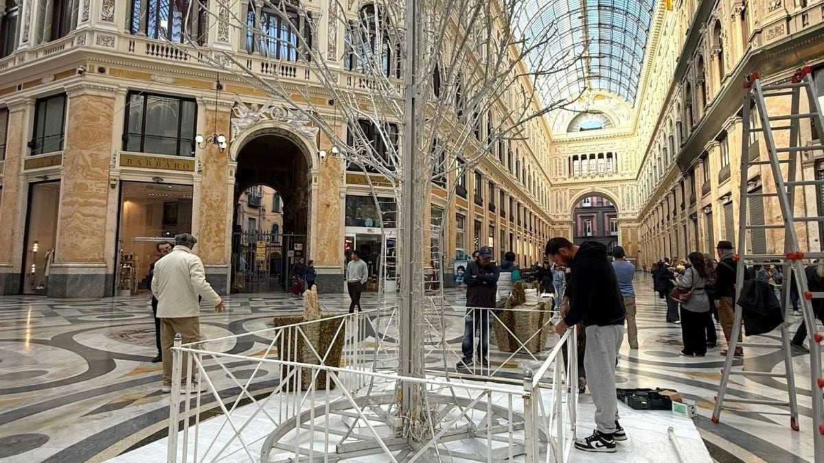 L’albero di Natale anti–vandali in Galleria Umberto I a Napoli