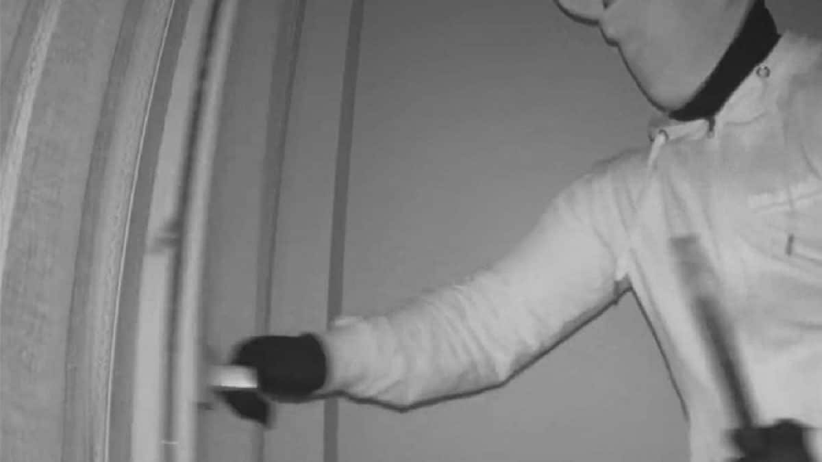 Immagine di repertorio