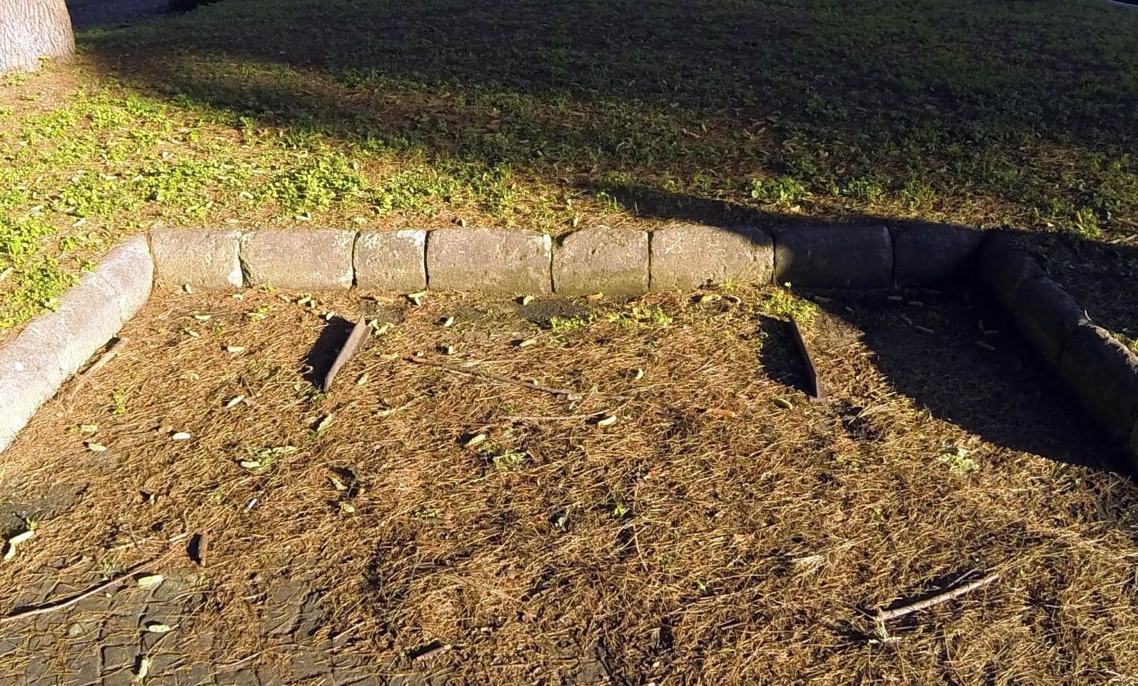 Una delle 24 panchine divelte nei giardini esterni del Cardarelli