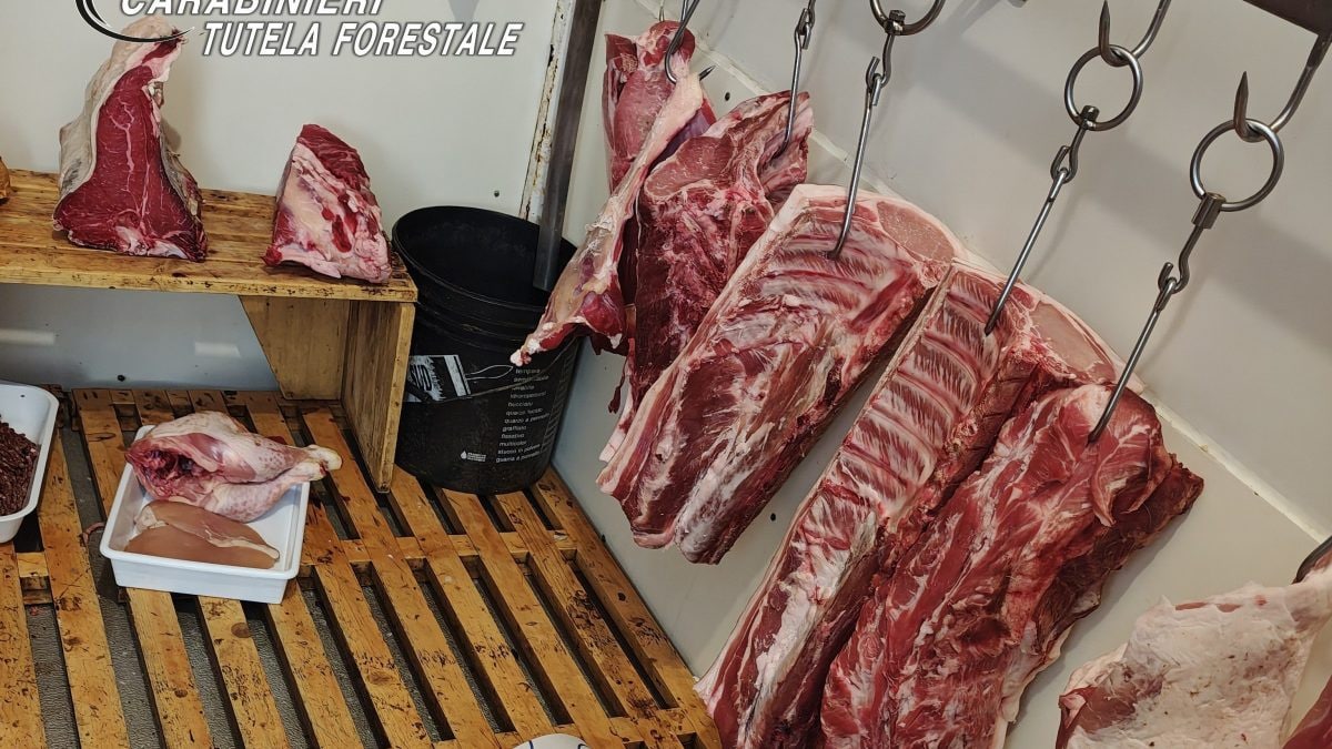 Il cibo sequestrato a Benevento