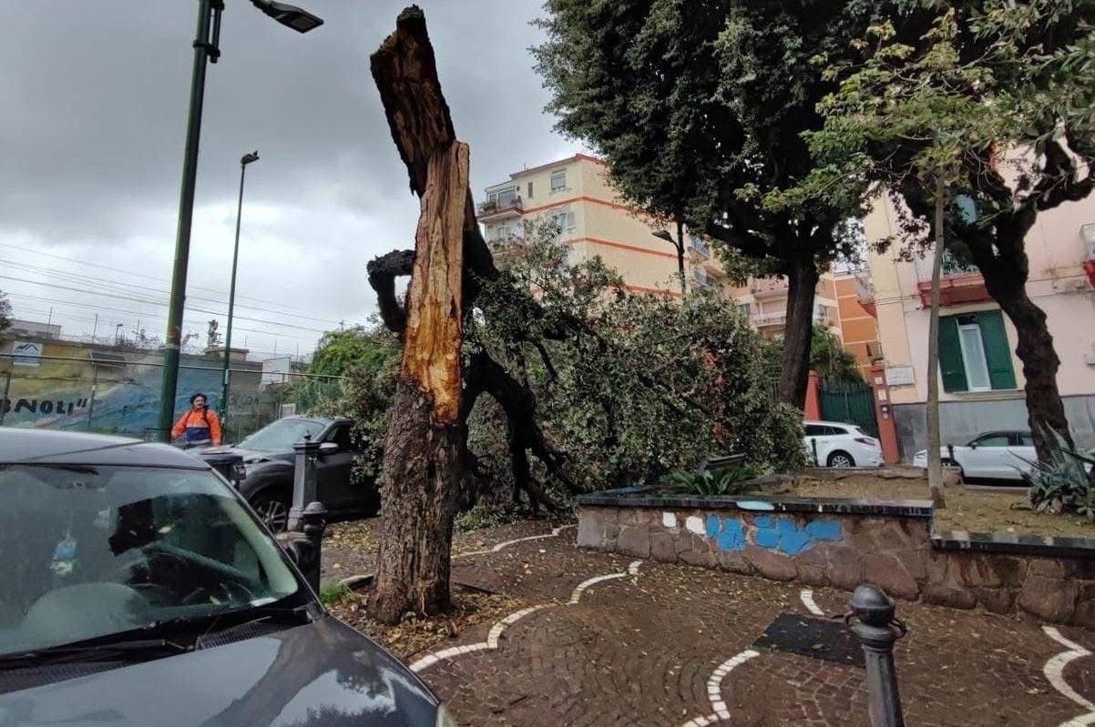 Viale Campi Flegrei a Bagnoli