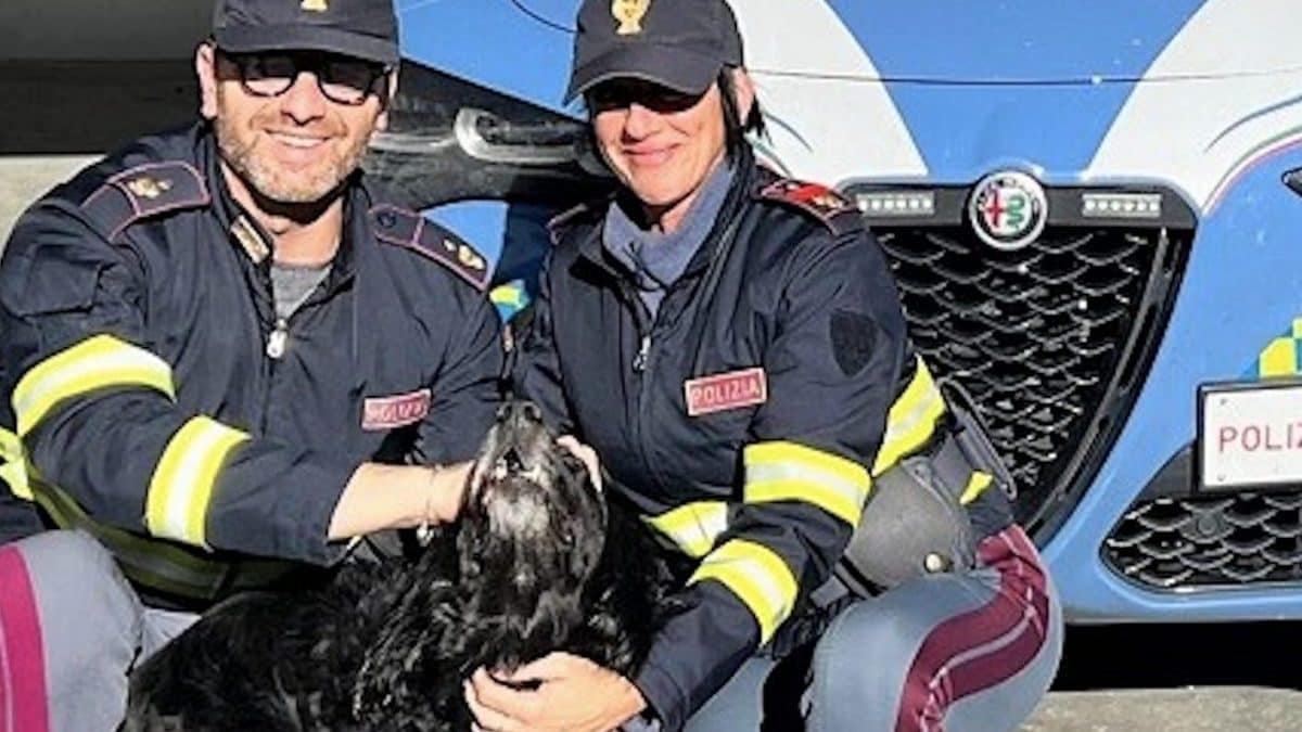 Il cane salvato dalla polizia stradale
