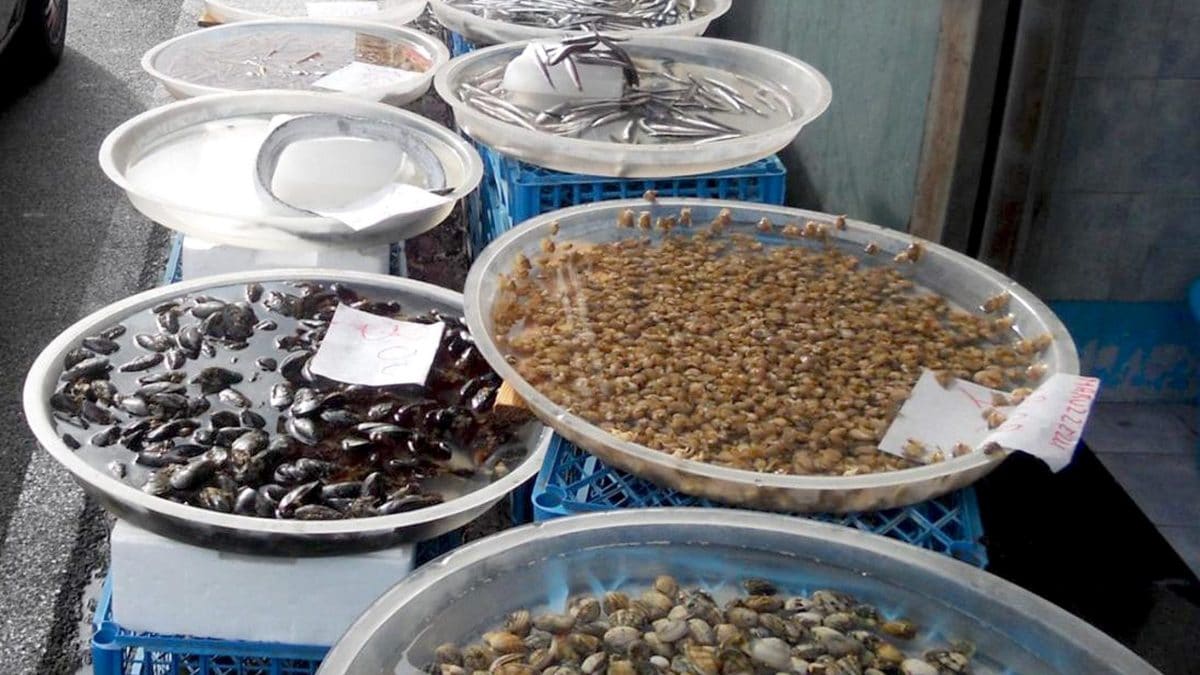 Immagine di repertorio