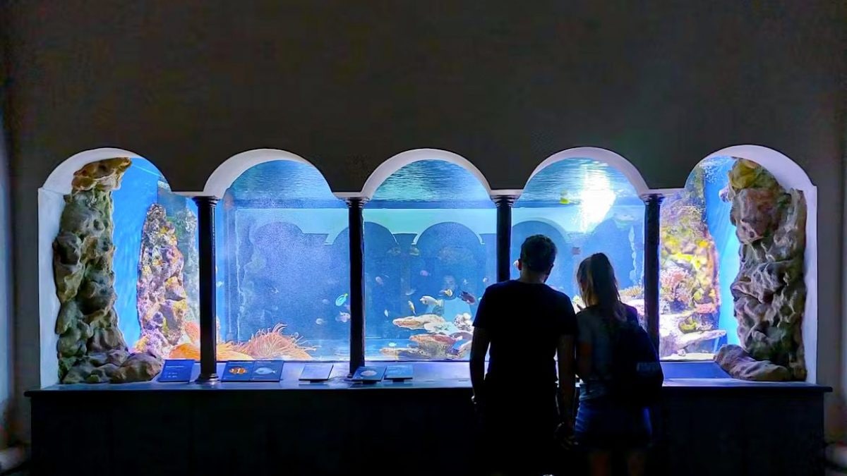 La Stazione Zoologica di Napoli