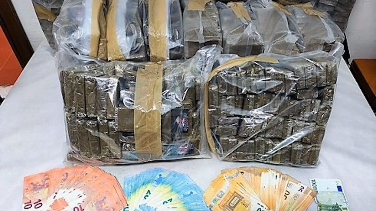 La droga sequestrata dalla Polizia a Pagani (Salerno)