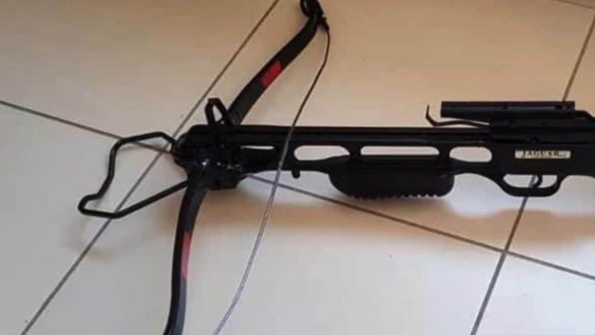 Immagine di repertorio