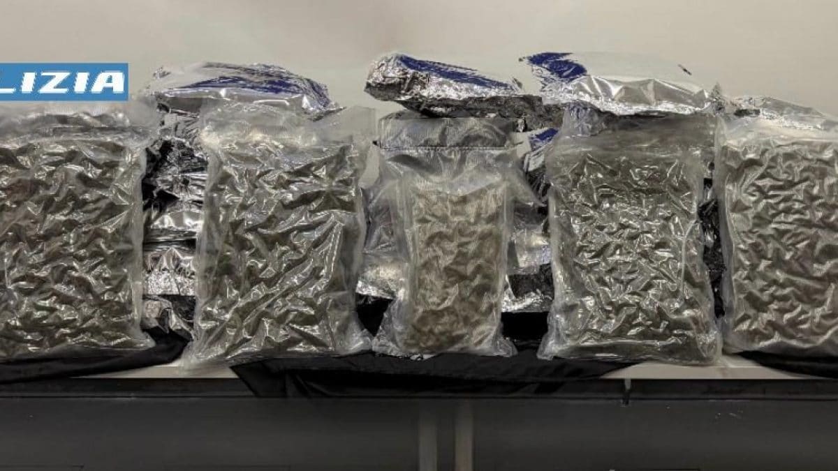 La droga sequestrata dalla polizia a Ponticelli