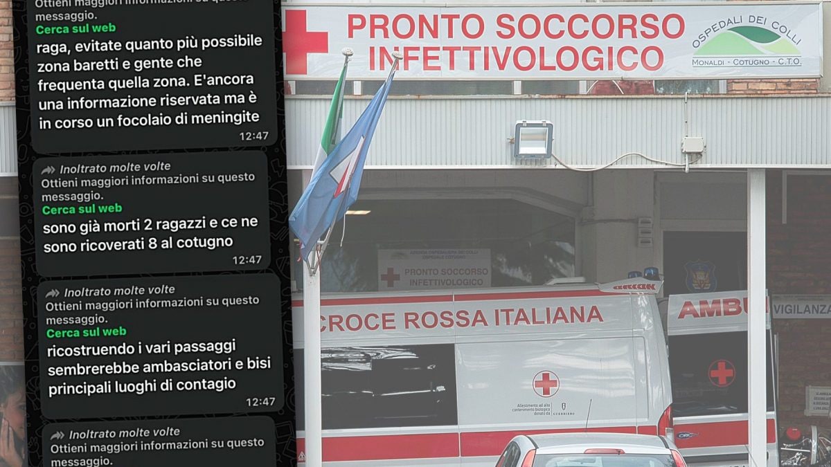 Il testo dei messaggi che stanno circolando su WhatsApp sul falso focolaio di meningite