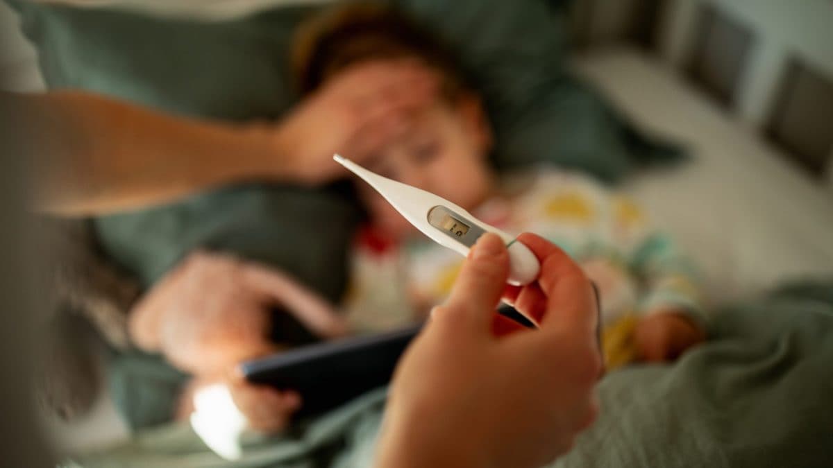 Immagine di repertorio