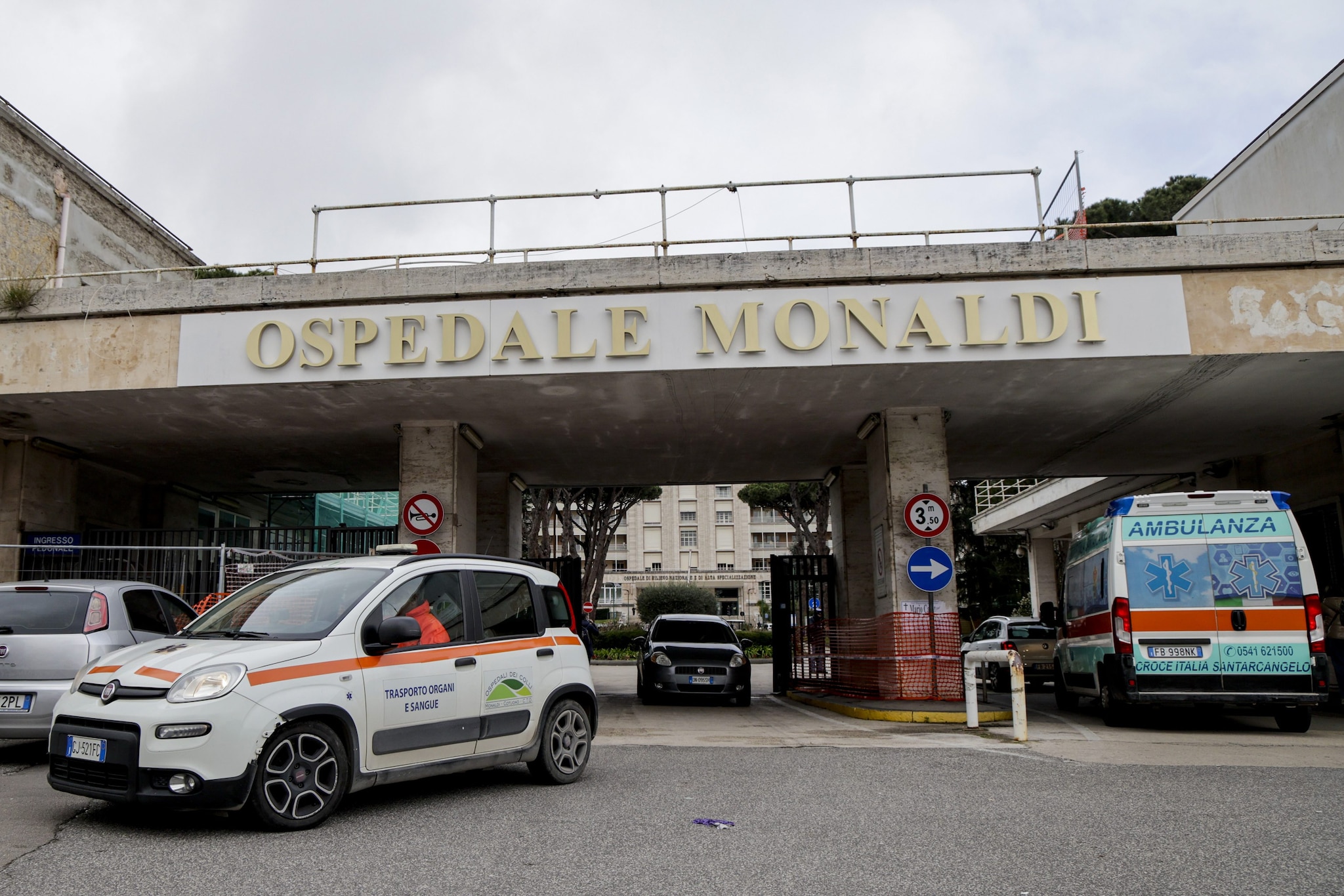 Morte di Domenico Caliendo, l'avvocato Petruzzi: "Monaldi senza medico legale?". La replica: "Falso"