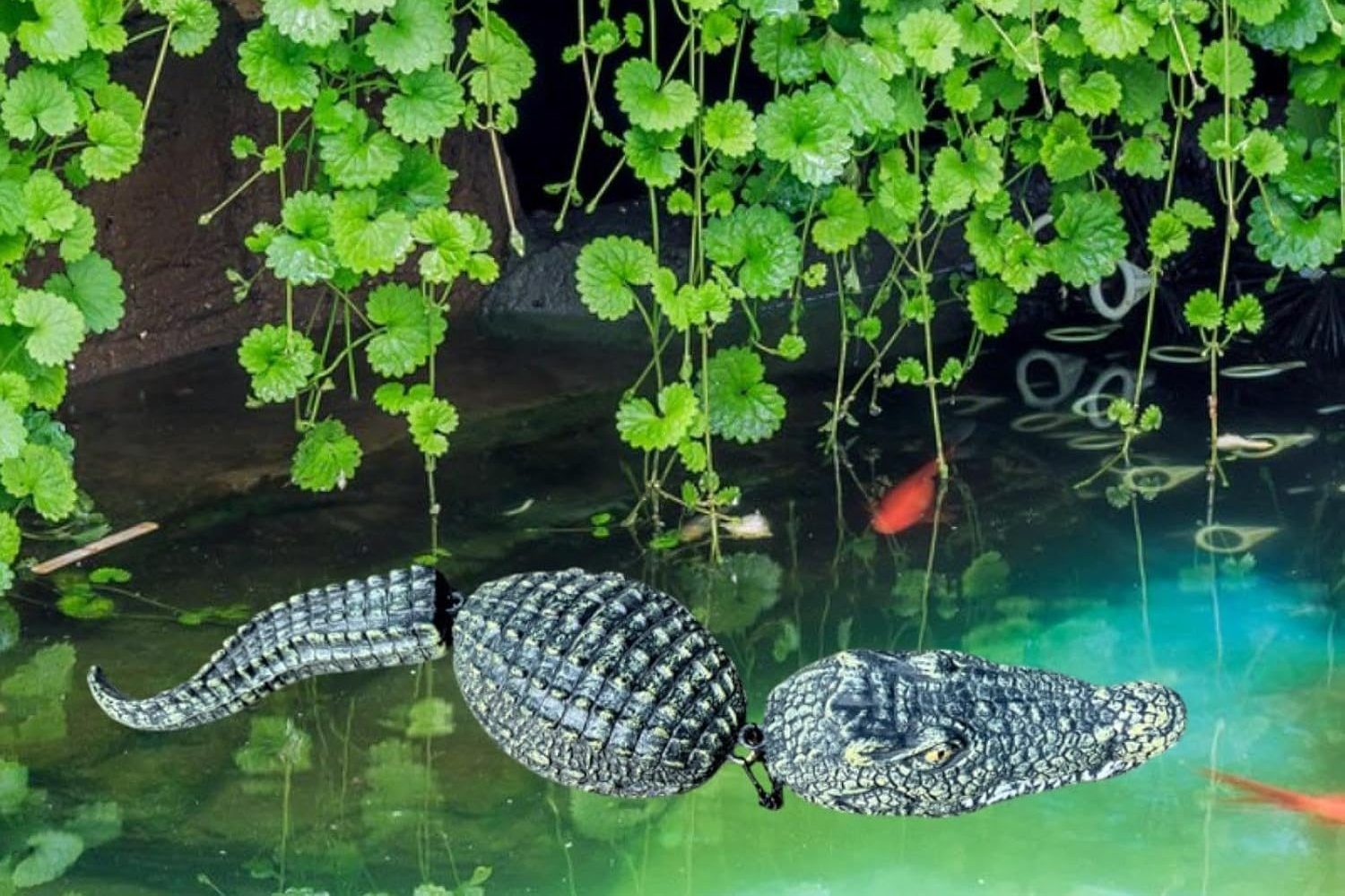 Un alligatore di gomma, acquistabile sulle piattaforme di e–commerce