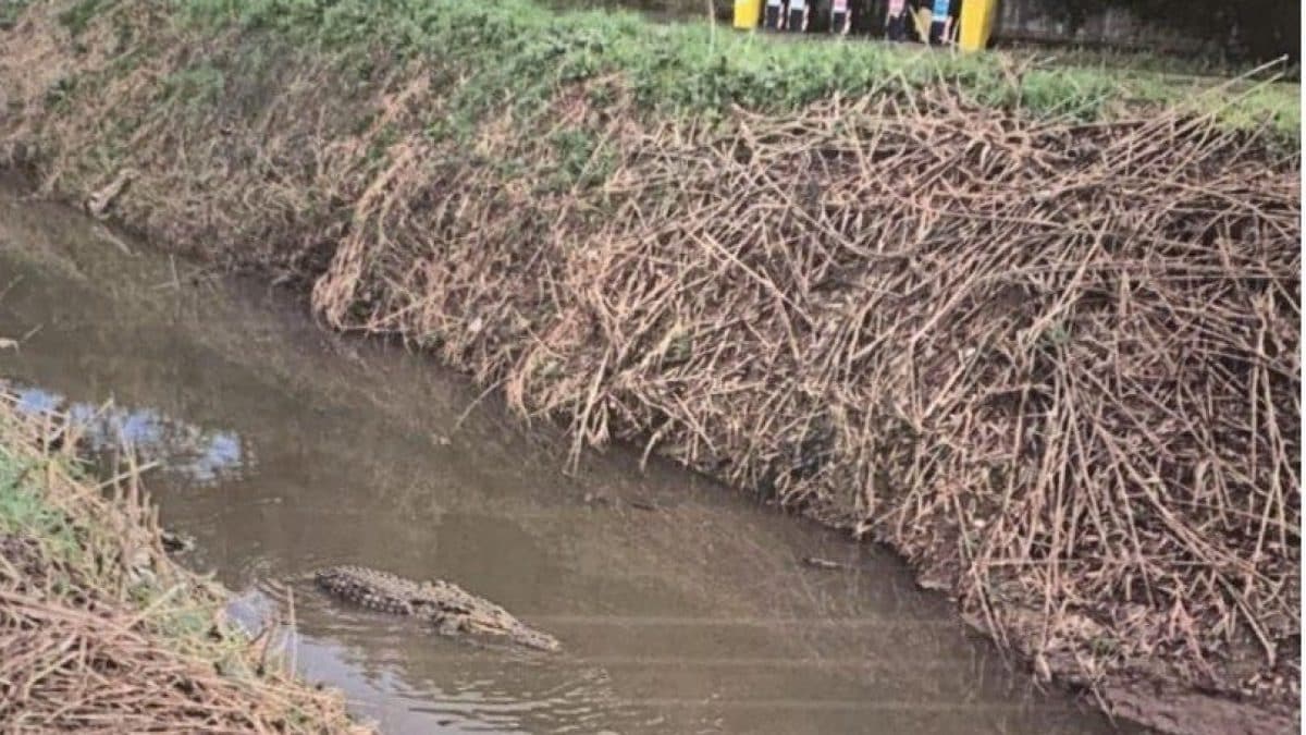 Foto pubblicata su Fb da Anvvfc di Capaccio Paestum ODV