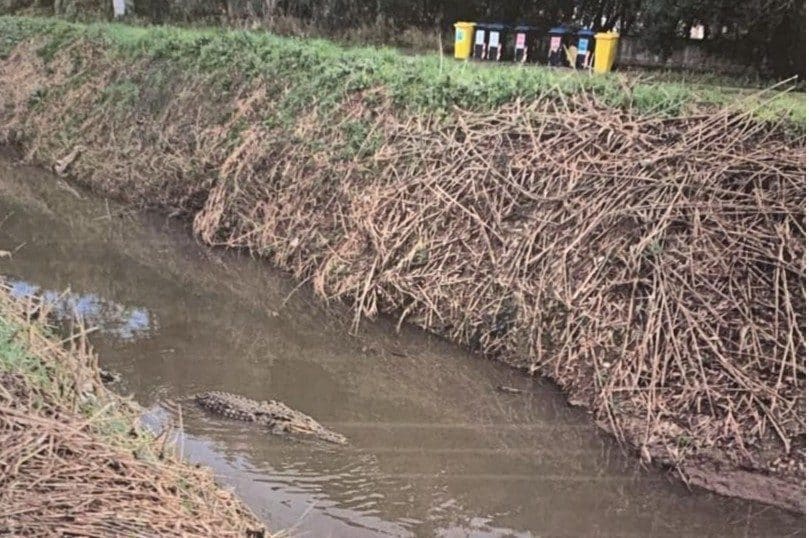 La foto che aveva fatto scattare l’allarme