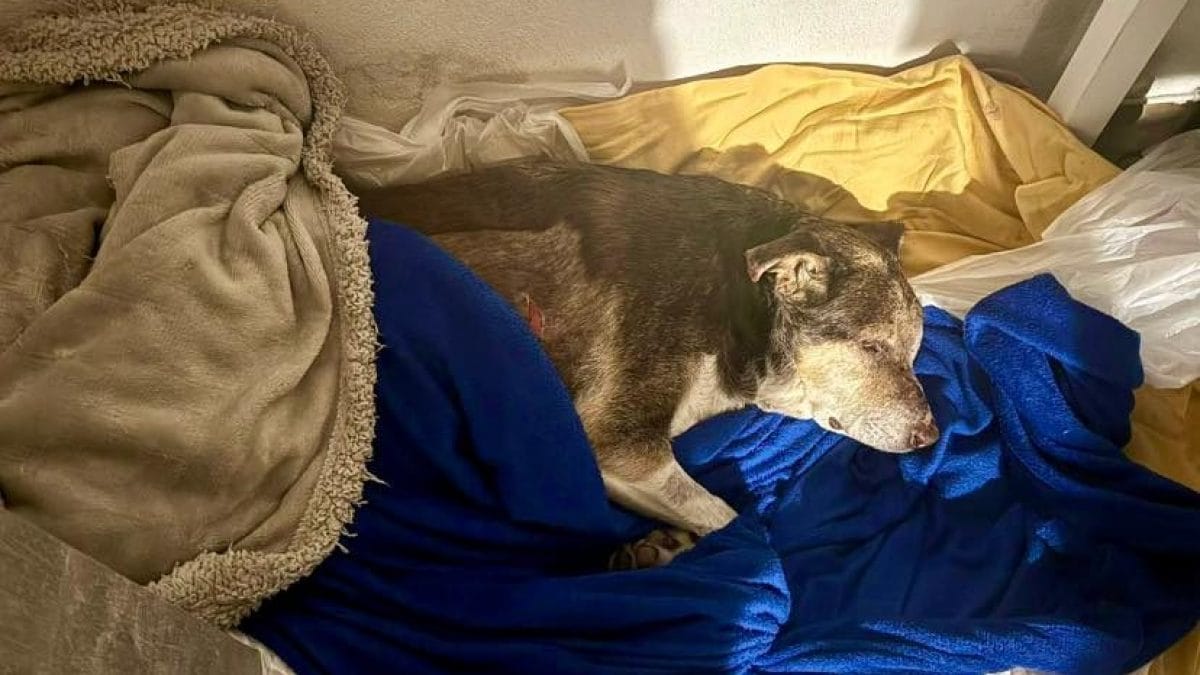 Napoli in allerta: i cittadini chiedono cambiamenti, tra orgoglio e delusione!