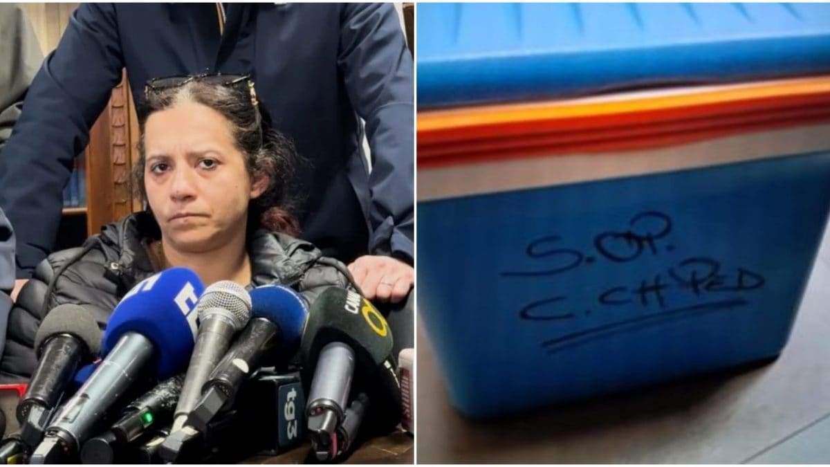 Patrizia Mercolino, madre di Domenico, e il contenitore usato per il trasporto (foto pubblicata da Repubblica)