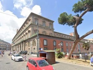 Addio al pino di piazza del Plebiscito, sarà abbattuto e sostituito con una specie diversa