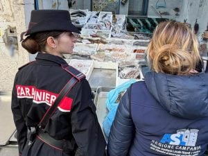 Controlli contro l’Epatite A tra Vomero e Arenella, trovate cozze e vongole non tracciate: sequestrati 70 chili