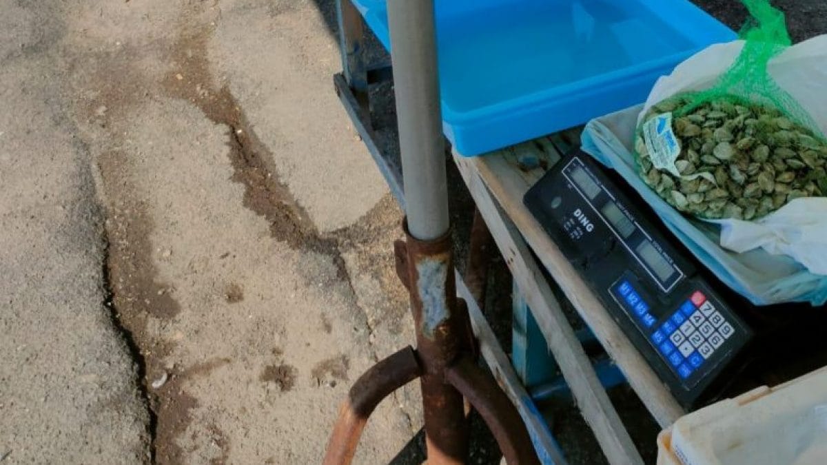 I controlli al mercato di Boscoreale