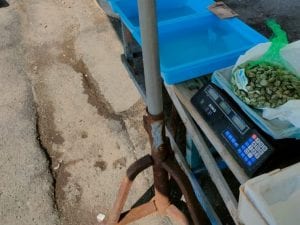 Epatite A, controlli al mercato di Boscoreale: sequestrate cozze e vongole in cattivo stato