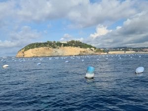 Epatite A a Napoli, raccolta cozze vietata solo a Nisida, riapre Bacoli: ecco il nuovo piano di gestione del rischio