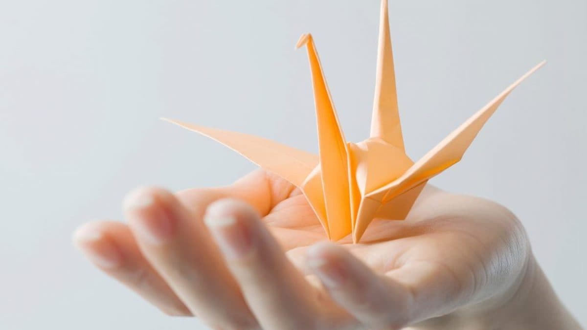 Immagine di repertorio