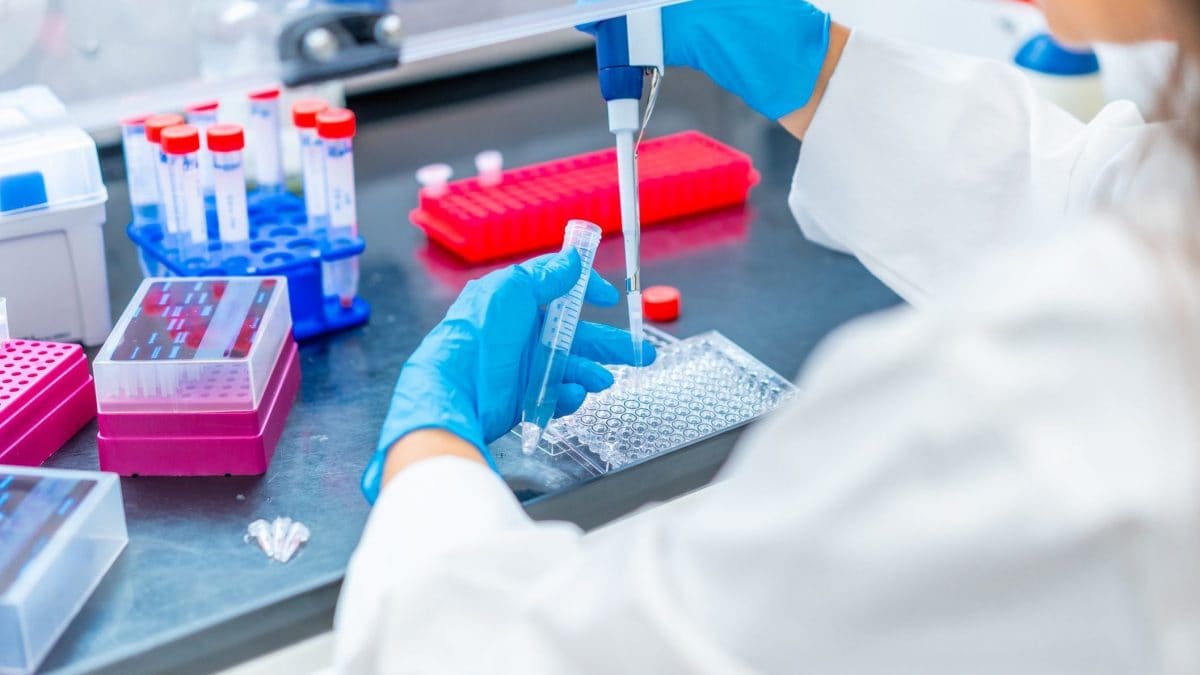 Immagine di repertorio