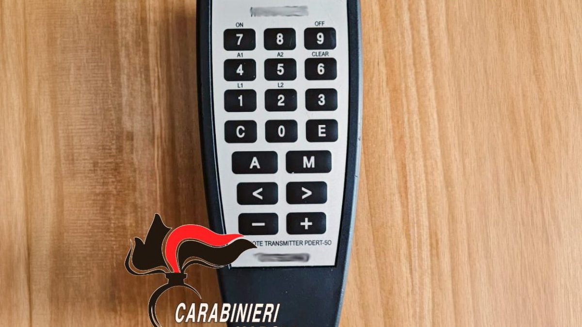 Il comando remoto che consente di modificare parametri e azionare la pompa di benzina. Di solito è in uso solo ai gestori