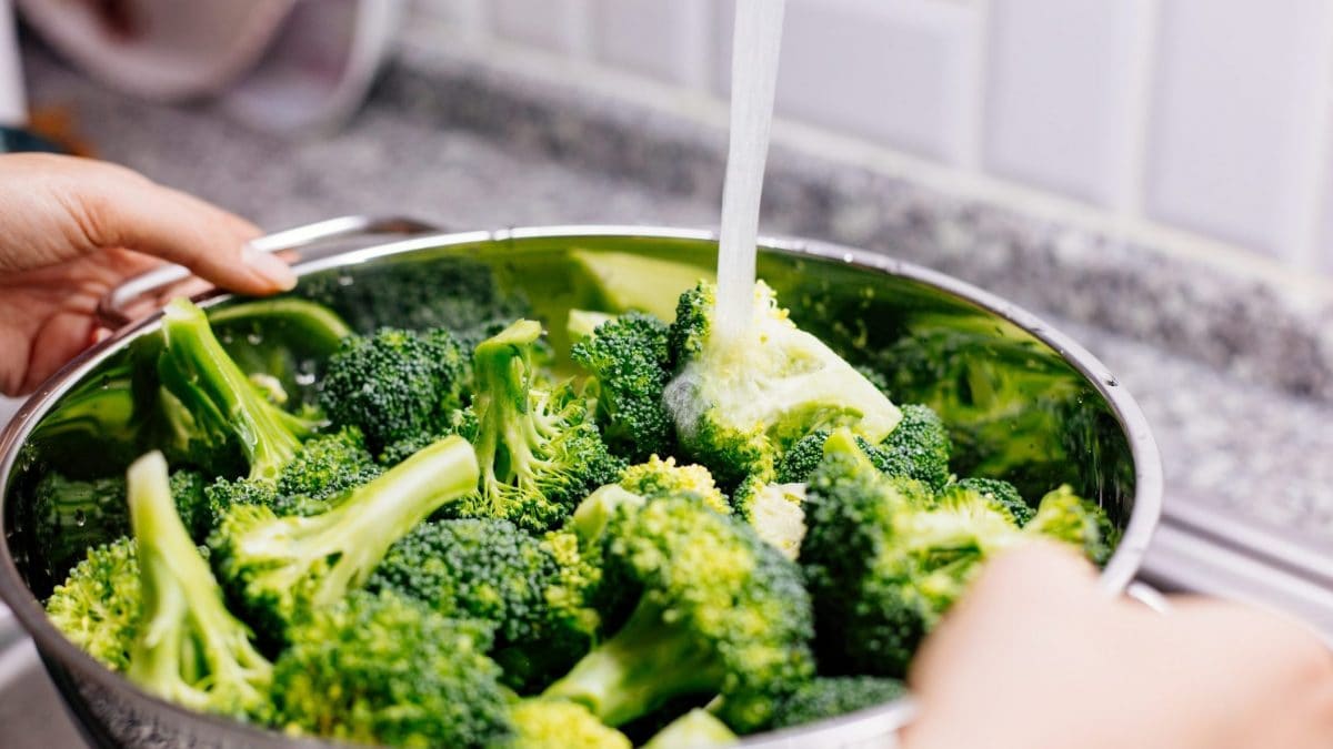 Immagine di repertorio