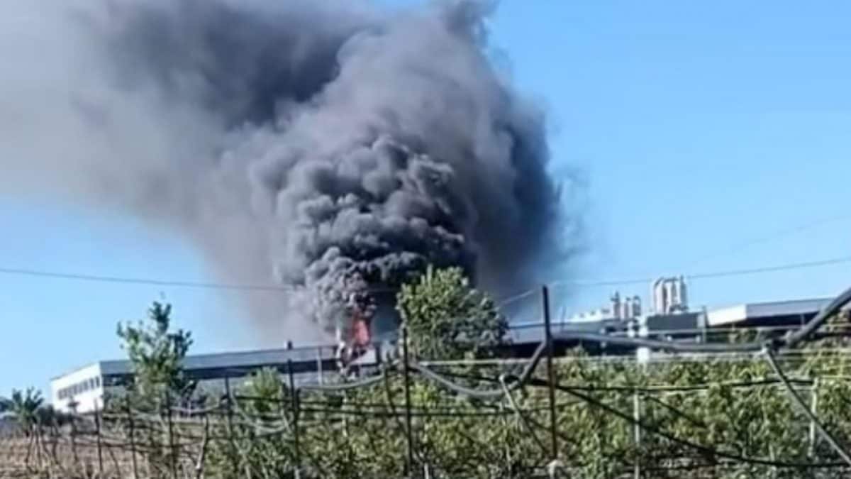 L’incendio nello stabilimento di Cellole (Caserta) – Foto Facebook