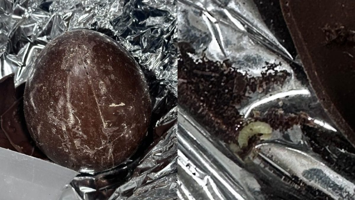 Le immagini giunte al parlamentare Borrelli dai genitori dei giovani studenti in gita