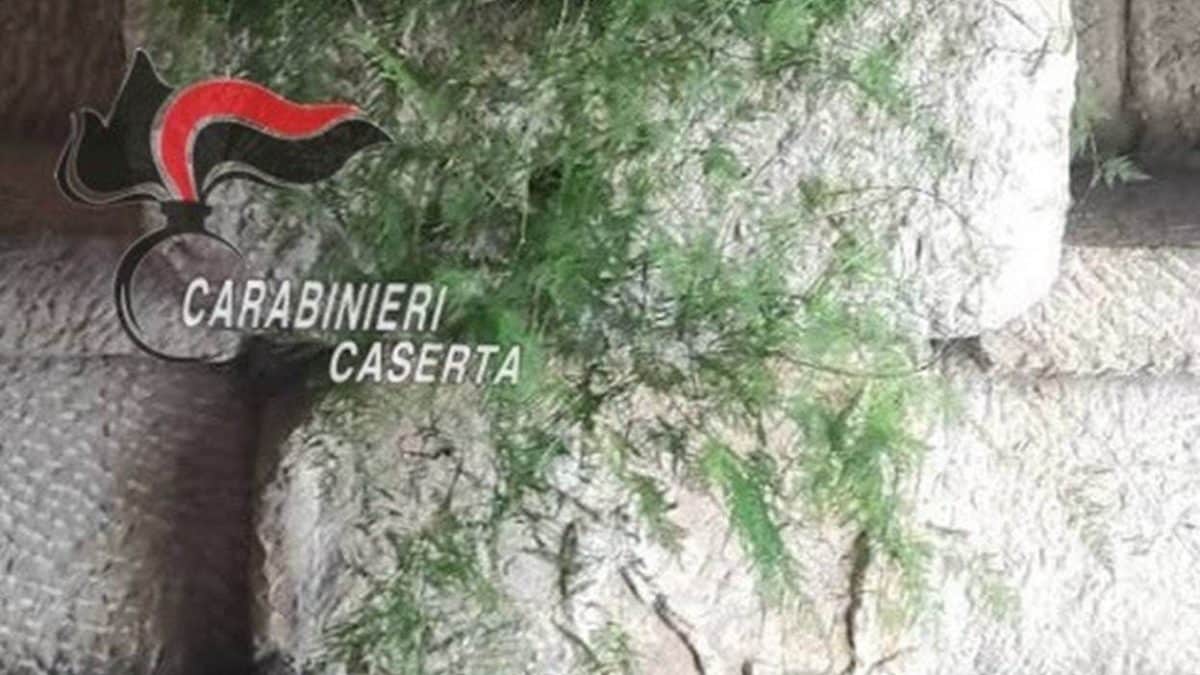 Il pezzo di sarcofago romano sequestrato dai carabinieri
