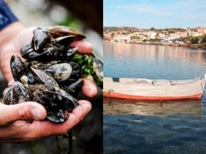 Epatite A a Napoli, le cozze del lago Fusaro di Bacoli saranno trasferite a Nisida