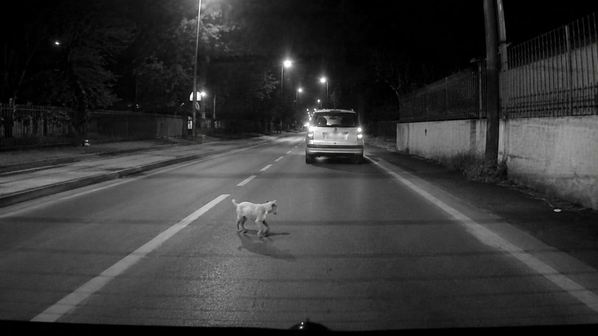 immagine di repertorio