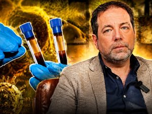 Parlare di nuova pandemia per l’Hantavirus è fantamedicina, secondo l’infettivologo Perrella del Cotugno di Napoli