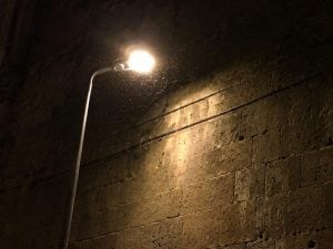 Moscerini a Napoli: il caldo umido fa esplodere le infestazioni. Segnalazioni a Vomero-Arenella, Pianura, Chiaiano