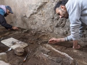 Trovato lo scheletro di un cavallo ucciso dalla lava del 79 